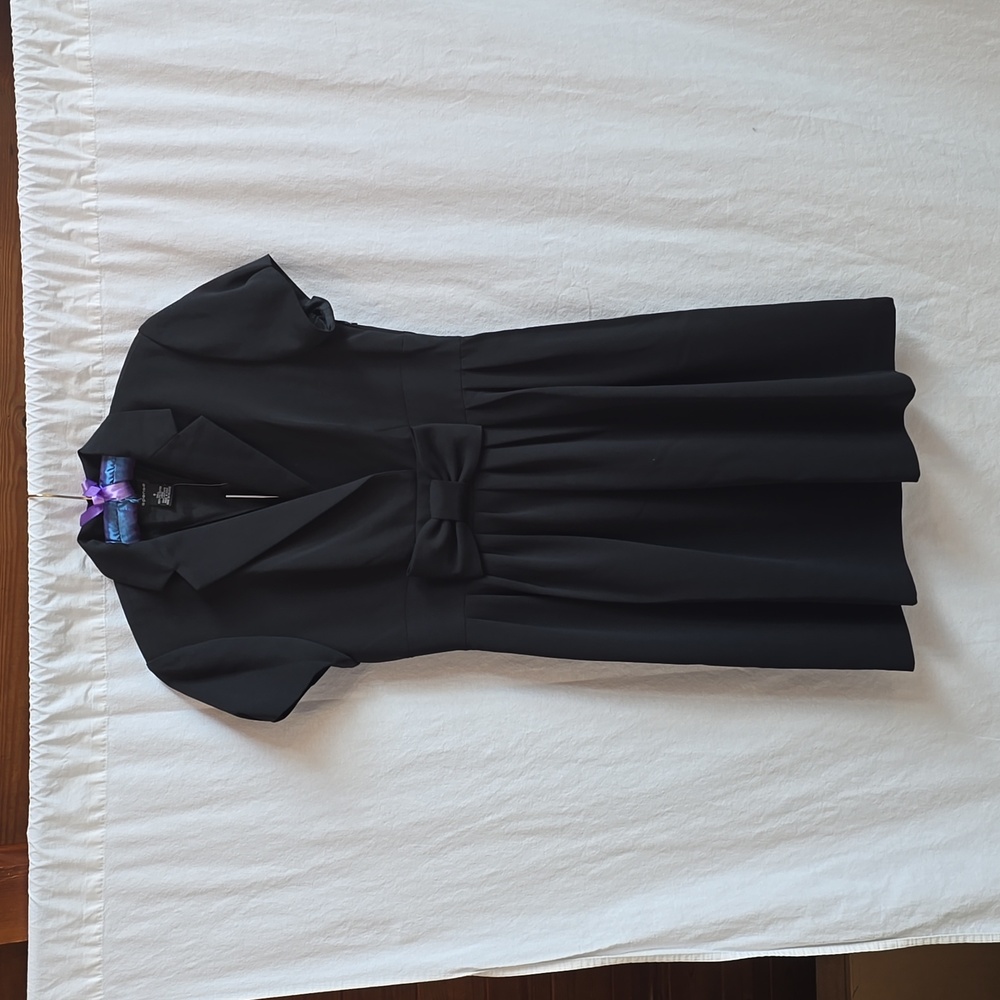 Spence Shirt Dress with Bowl and Pleated